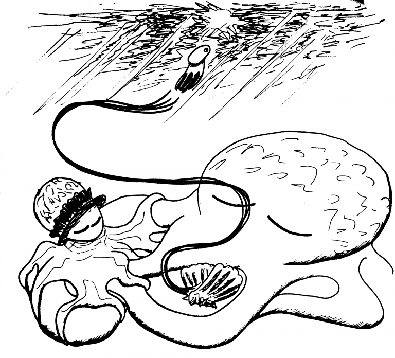 Crno-bijeli crtež dviju hobotnica iz prethodnih scena koje imaju zatvorene oči. Beba hobotnica je otplivala u pozadinu.