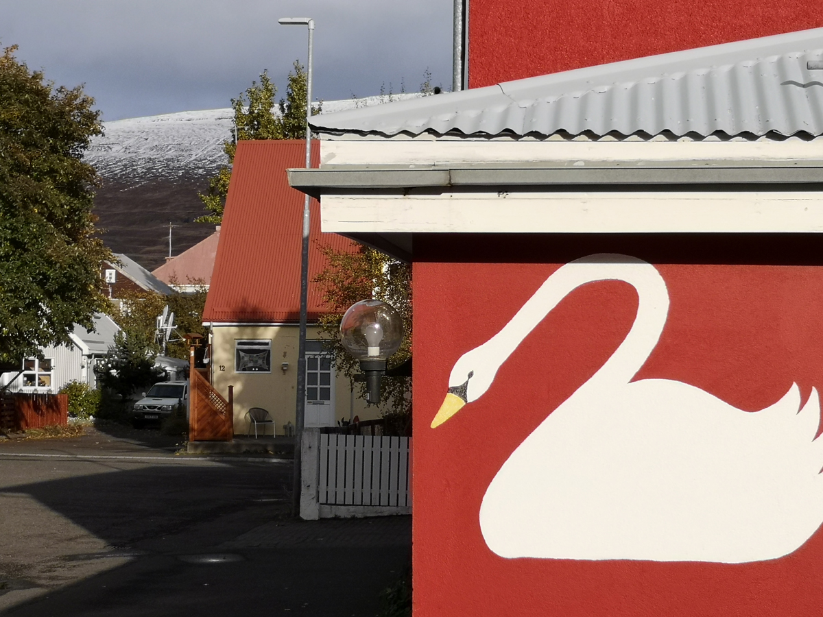 Crveni zid s naslikanim labudom, u pozadini planina